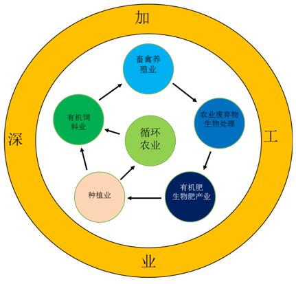 新农缘天下打造现代生态循环农业产业链 助力