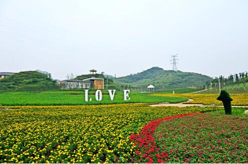 特色小城镇规划建设的先行者-正和恒基