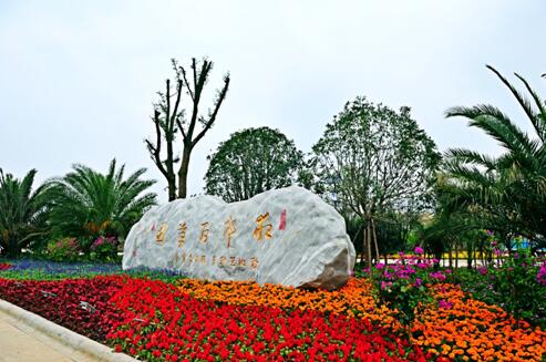 特色小城镇规划建设的先行者-正和恒基