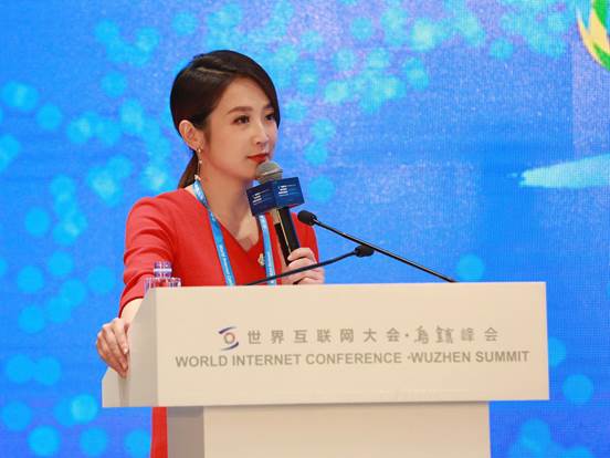 世界互联网大会艾诚:草莽还是英雄?谁到场谁缺