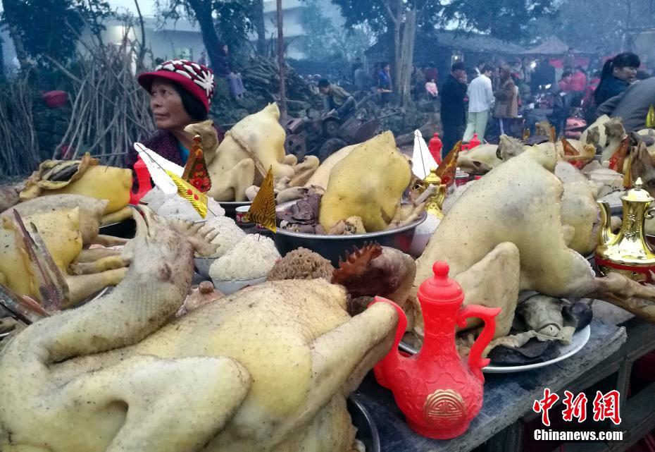 鬧元宵啦 看全國各地如何慶祝元宵節