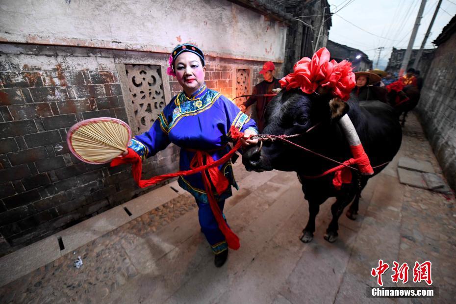 鬧元宵啦 看全國各地如何慶祝元宵節
