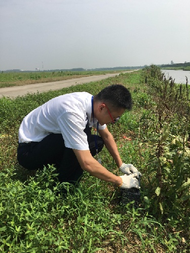 夏秋季口岸病媒防控检验检疫在行动 _商业要闻