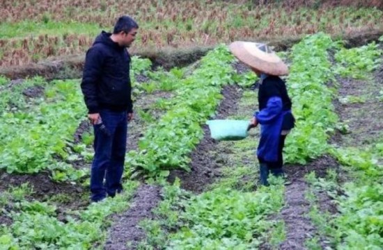 精准扶贫“滴灌”美好“黔”景 贵州省水利厅对口帮扶黄平县侧记