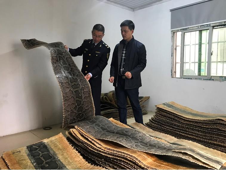 江苏检验检疫局对进境二胡原材料进行现场检疫