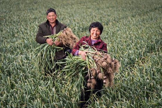 催生逾9亿笔扶贫订单 如何改变730个贫困县