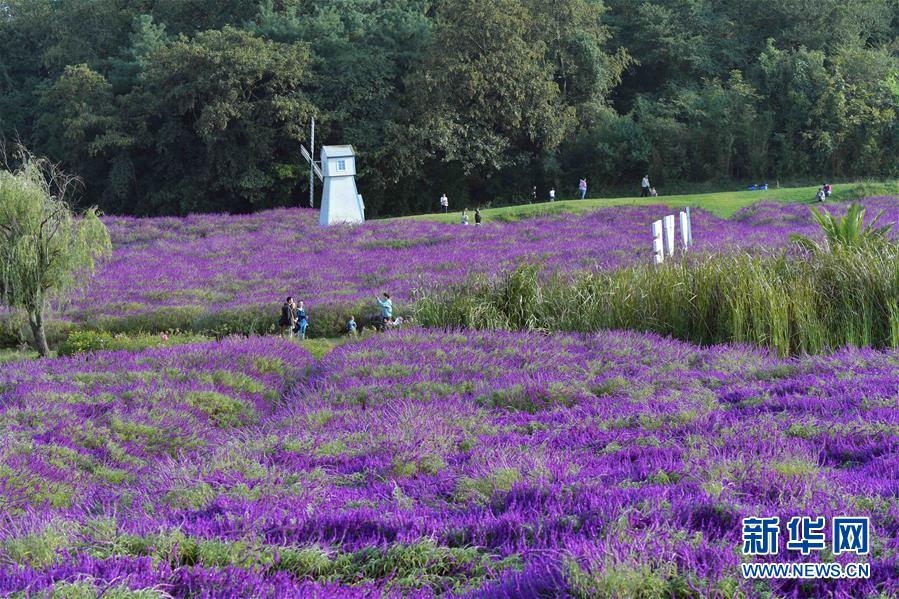 央行就标准化债权类资产认定规则公开征求意见