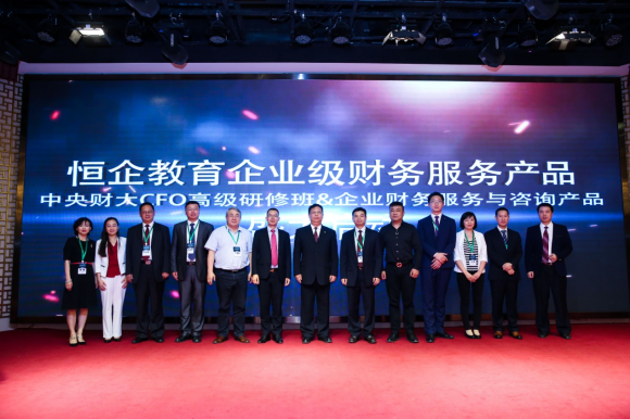 财务支出收入表格模板_财务总监的收入(3)