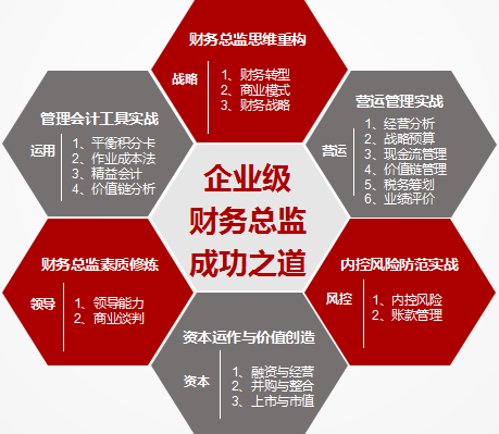 财务支出收入表格模板_财务总监收入