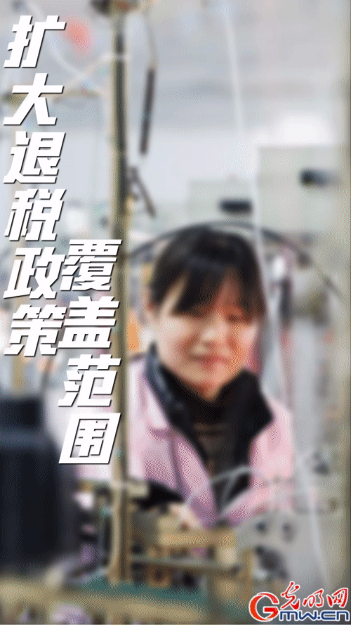 【“动”漫海报】国常会：更好发挥出口退税效用 助力外贸企业缓解困难