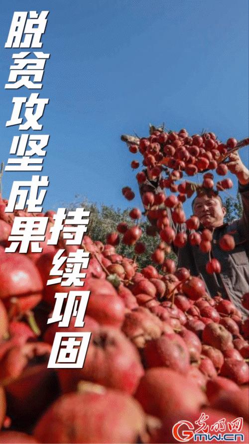 【“动”漫海报】农业农村部：一季度农业农村经济运行总体平稳