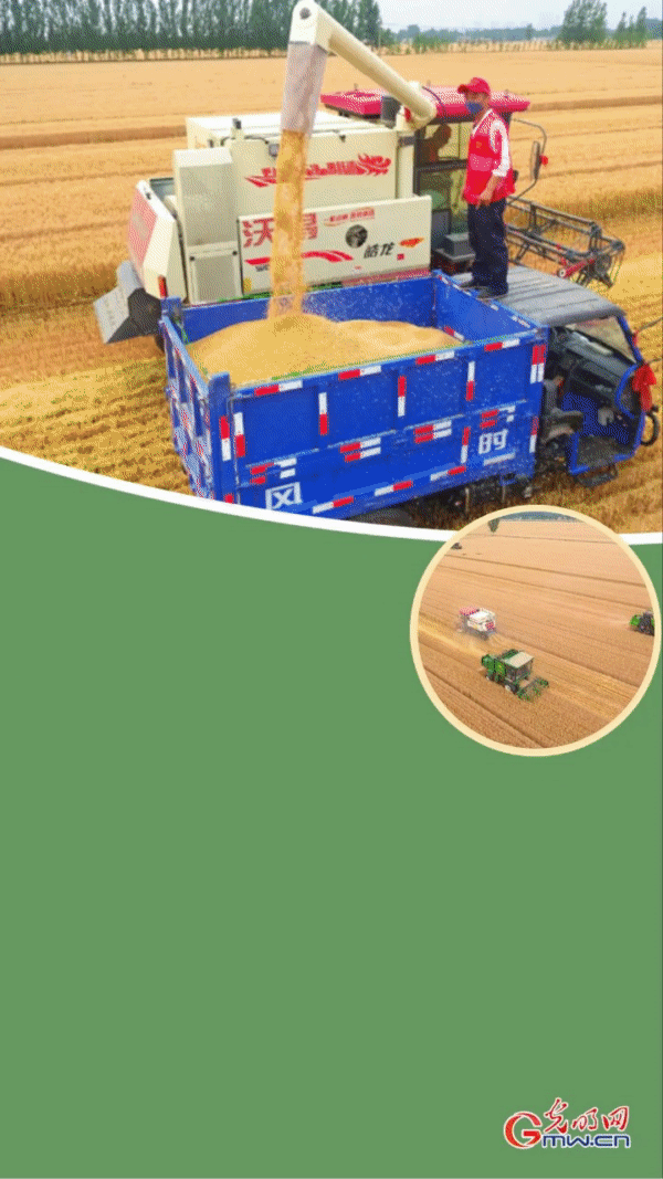 【动“漫”海报】机械化抢收力度空前！25天完成今年“三夏”小麦机收