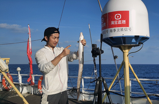 台风带来渔汛 渔民“载着”线上直播驶向东海