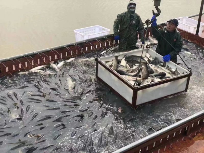 深耕绿色金融 “贷”动绿色发展 建行南昌分行绿色贷款余额达220亿元