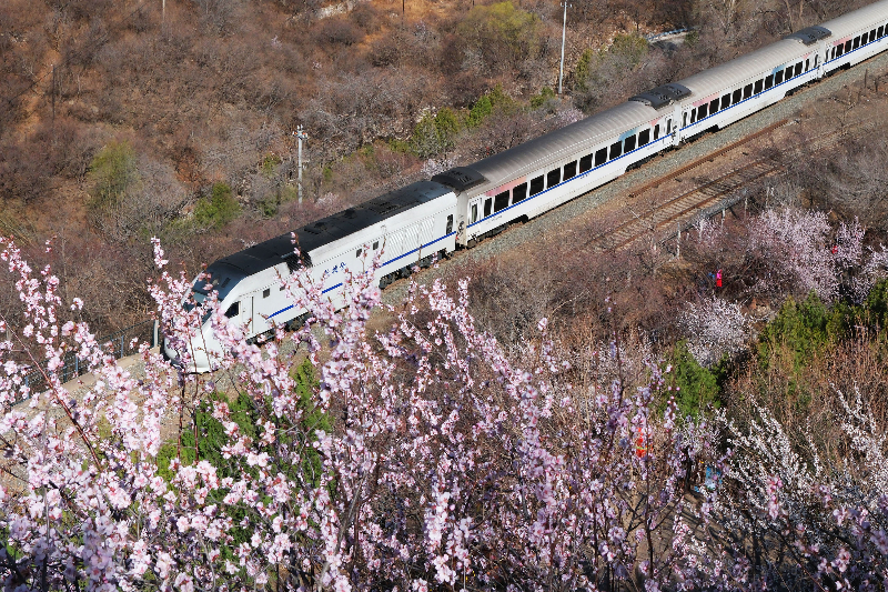 春天穿过花海的列车