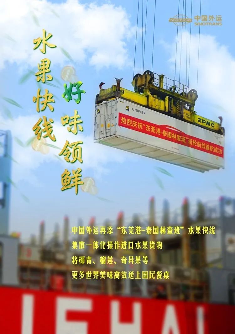 中国外运优化通道建设 端午祝福“粽”“享”“好”“运”