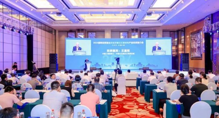 2024海南自贸港儋洋经济圈石化新材料产业投资推介会召开