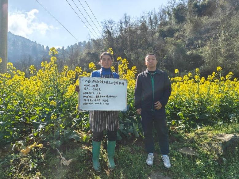 从花田到心田 中国人寿为“春日经济”护航添彩