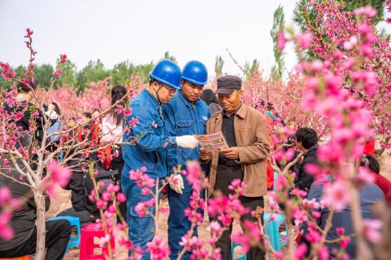 春来敦煌花如海 电力护航产业兴