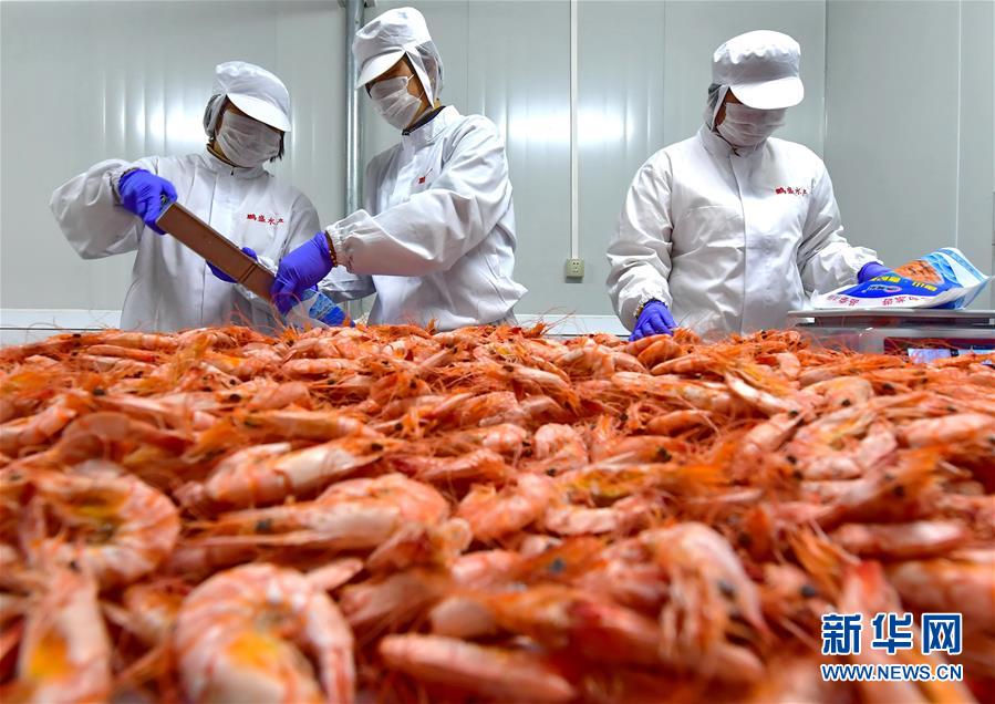 严厉打击食品安全犯罪 为孩子守护健康的净土