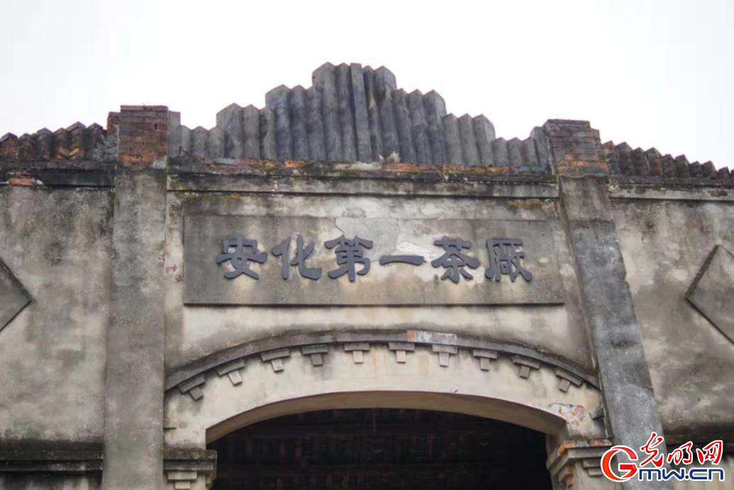 从默默无闻到全国茶业百强县之首 安化黑茶如何走出大山？