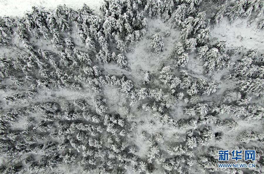 数字探秘33位国家最高科学技术奖获得者