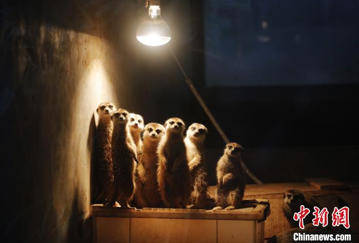 数字探秘33位国家最高科学技术奖获得者