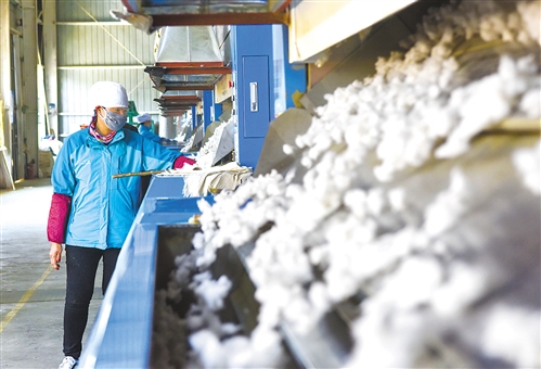 中国棉花供需基本平衡