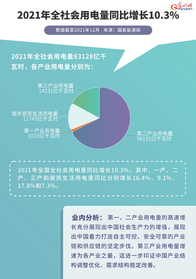 2021中国经济年报2021年全国发用电量均有增长可再生能源发电量增速