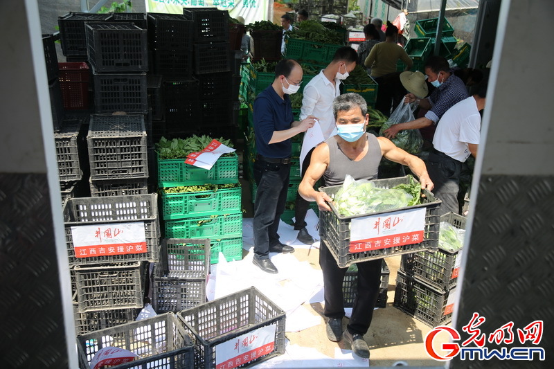 【组图】“守沪者联盟”丨江西峡江：10吨爱心蔬菜驰援上海