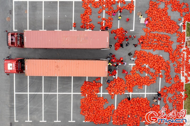 【组图】“守沪者联盟”丨浙江长兴：4000份蔬菜瓜果驰援上海