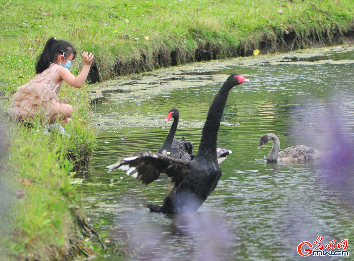 【组图】上海：端午小长假首日 世纪公园乐迎游客严而有序