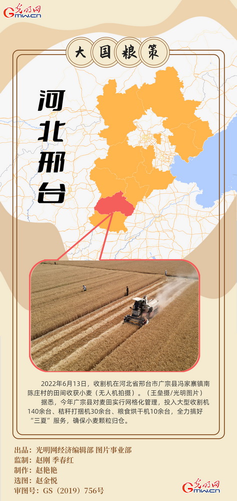 【大國“糧”策】創意海報丨全國小麥收獲逾九成 又到夏糧好“豐景”