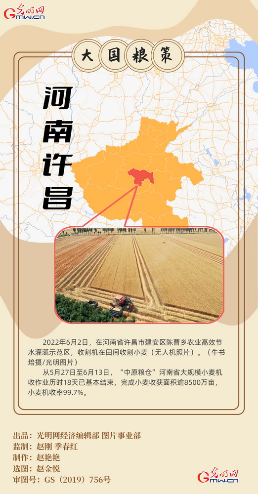 【大國“糧”策】創意海報丨全國小麥收獲逾九成 又到夏糧好“豐景”