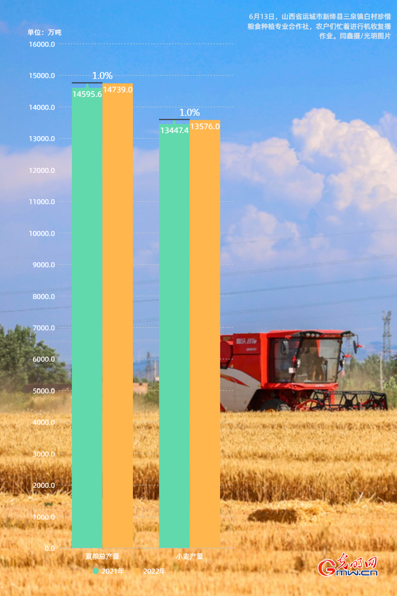 数据海报丨2022年我国夏粮生产喜获丰收：播种面积稳中略增 夏粮单产小幅提高