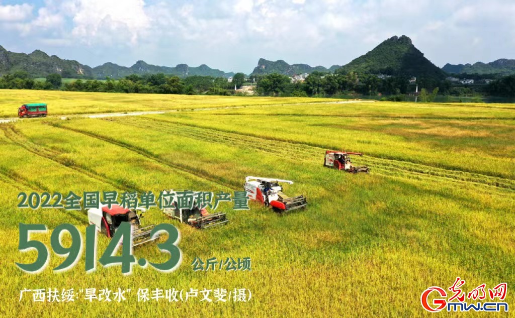 【数据海报】早稻抢收 “丰”景如画！全国早稻播种面积已达7132.6万亩
