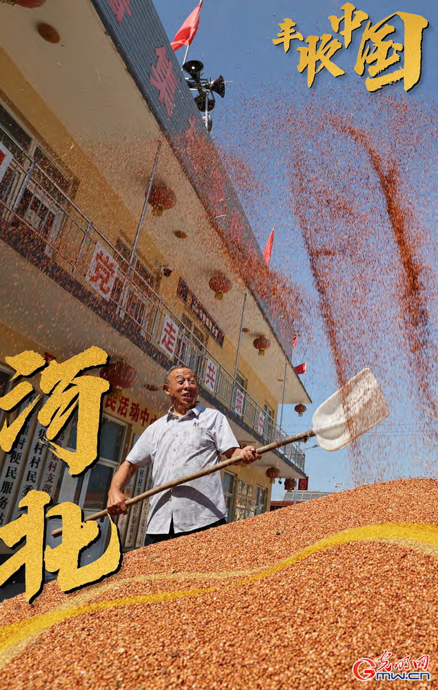 【丰收中国】海报丨秋收大幕开启 全国秋粮收获超1.7亿亩