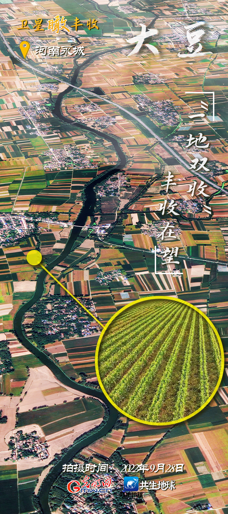 【3D卫星】丨保障粮食供给 在希望的田野上丰收耕耘