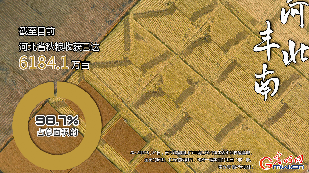数据海报丨河北秋收基本完成 秋粮收获达6184.1万亩
