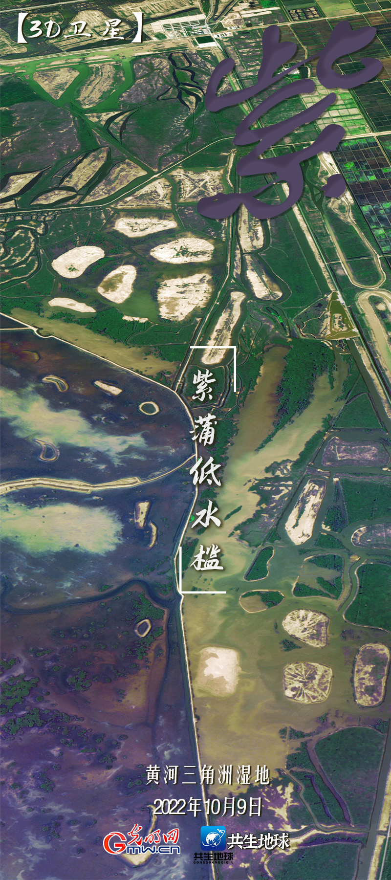 【3D卫星】多彩神州 卫星视角“瞰”湿地调色盘