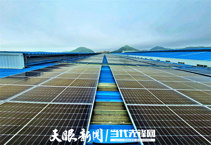 贵州金元：绿色能源助力乡村振兴