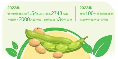 一个豆荚两头“甜”