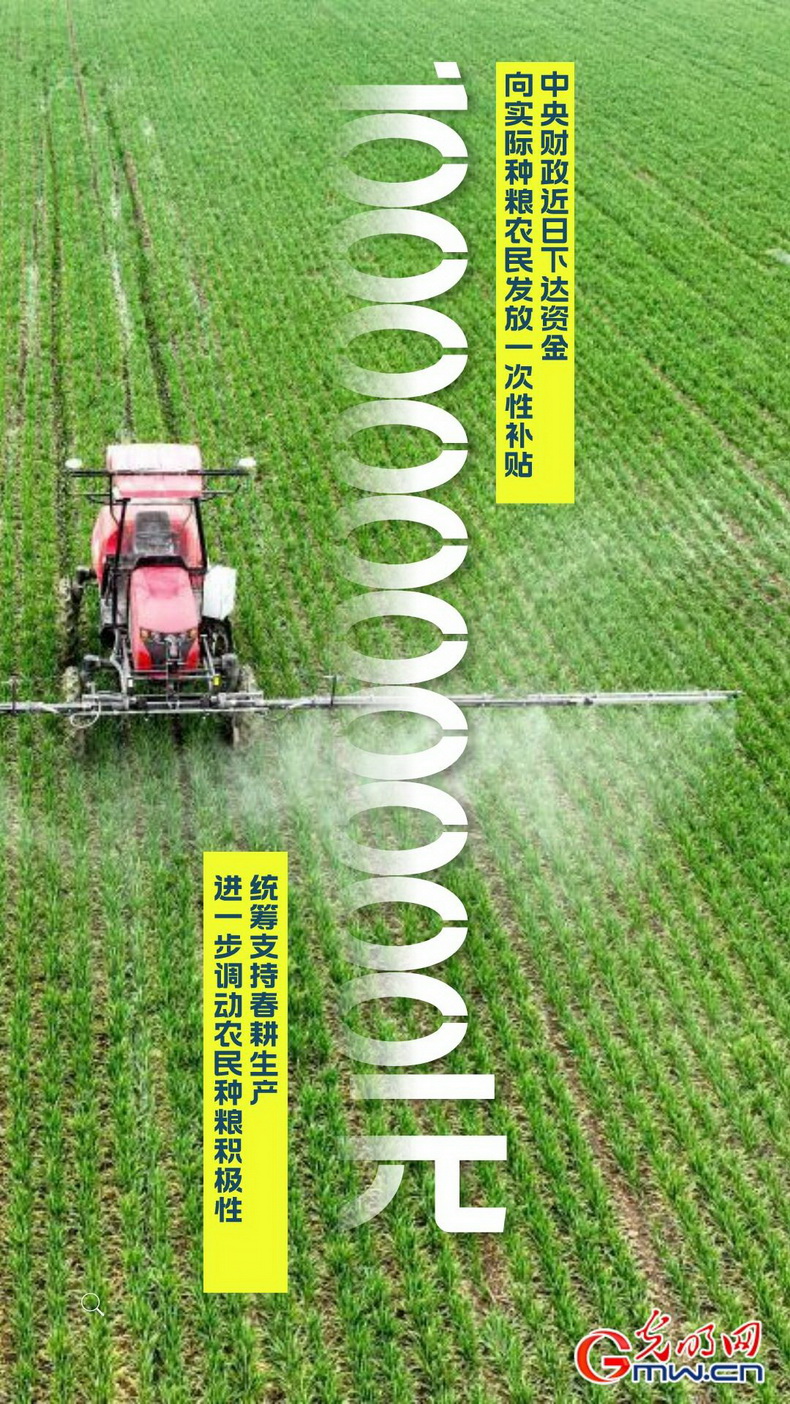 【海报】中央财政下达资金100亿元 向实际种粮农民发放一次性补贴