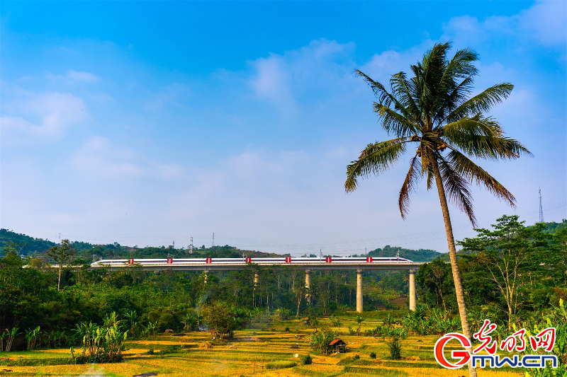 东南亚地区首条高铁！中印尼合作建设的雅万高铁今日开通运行