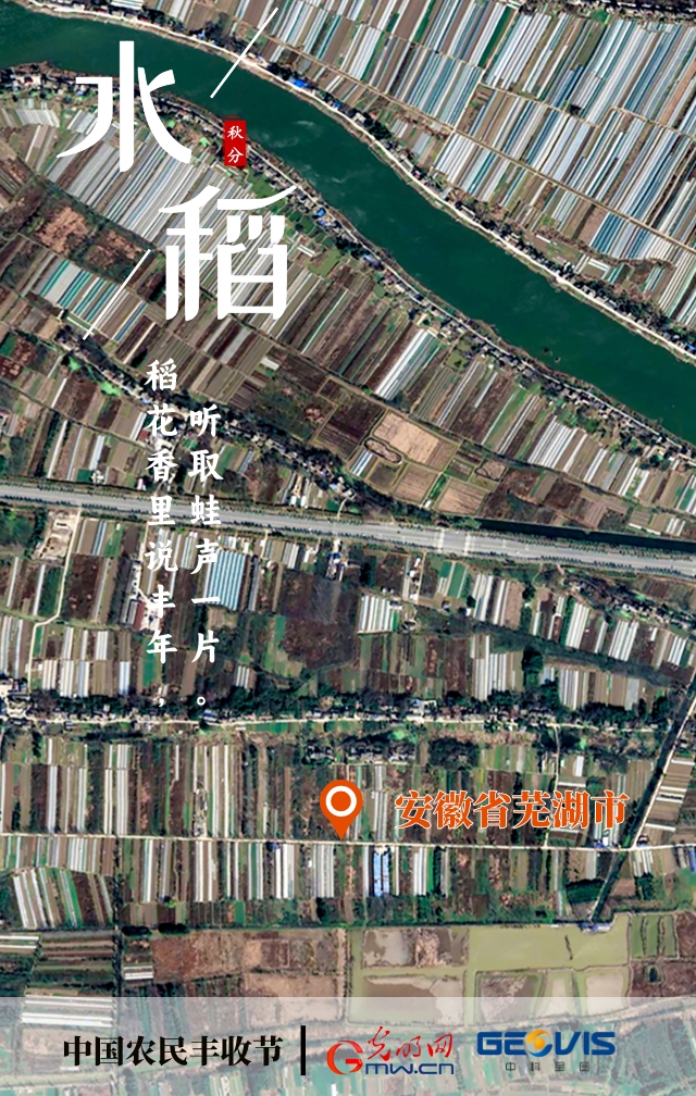 中国农民丰收节丨卫星镜头带你瞰诗词里的满仓丰景