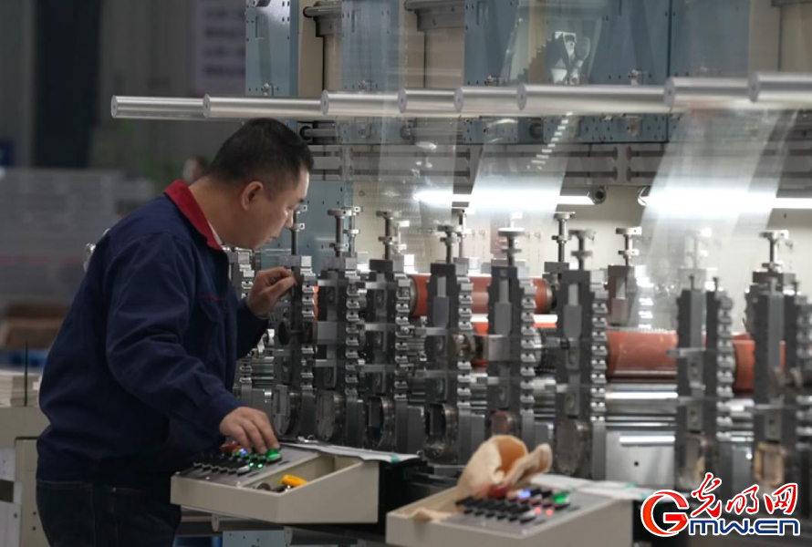 专精特新看中国｜“机器如何生产机器” 看模切机“独步全球”