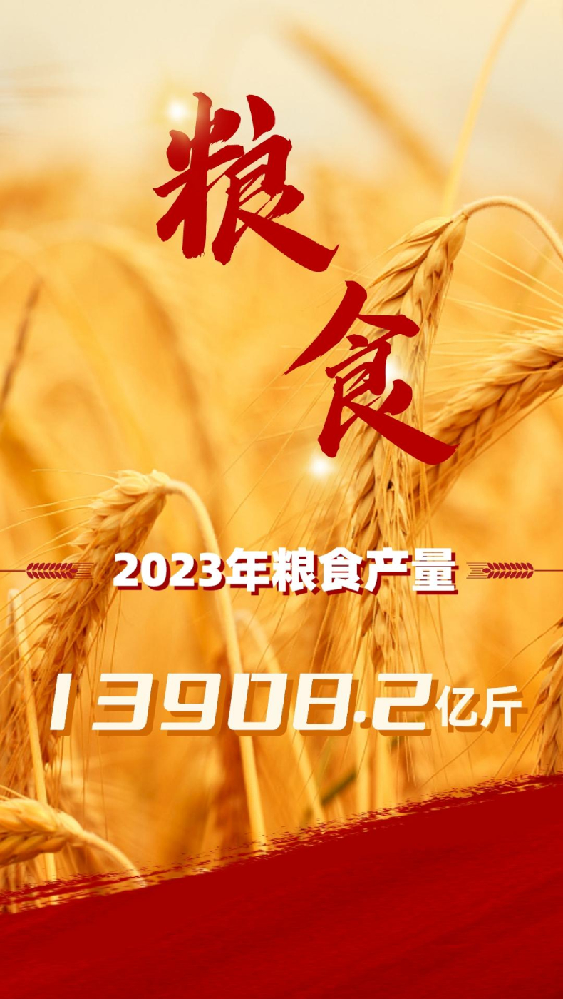 2023中国经济年报丨2023农业农村发展稳中向好 粮食生产再创新高！