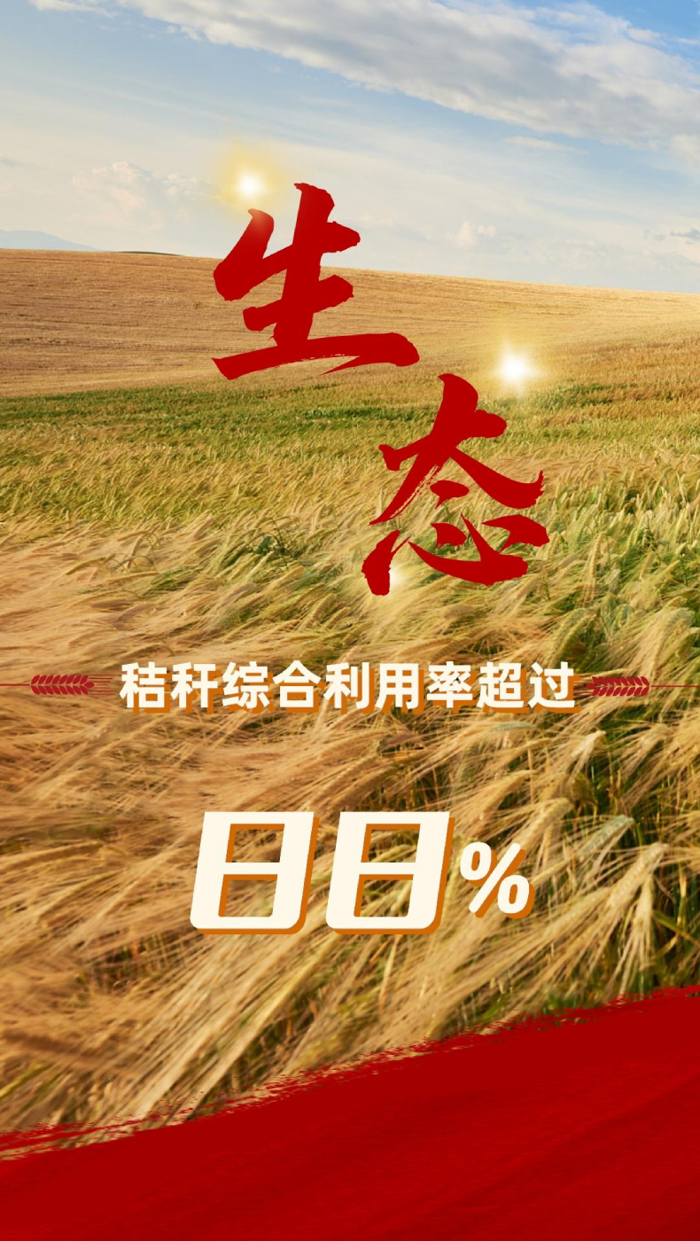 2023中国经济年报丨2023农业农村发展稳中向好 粮食生产再创新高！
