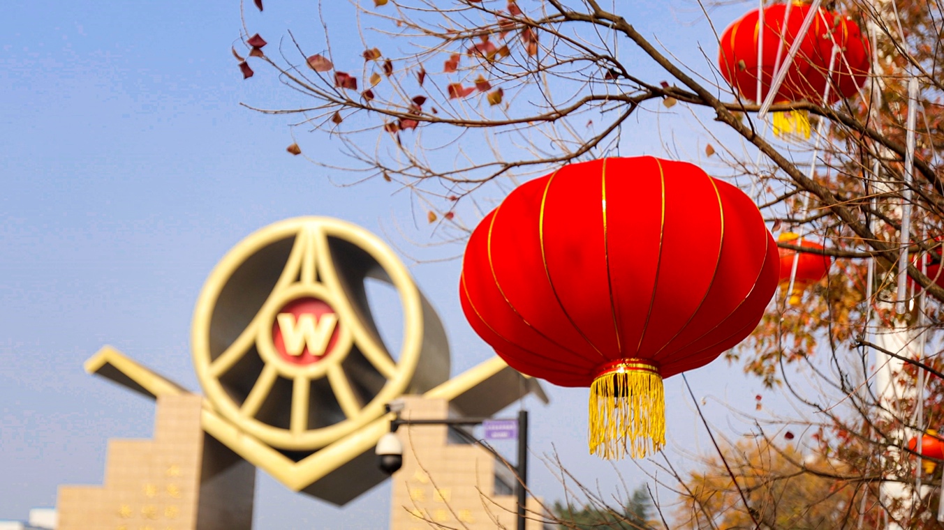 和合共生 美美与共 五粮液龙年新春活动与全球共享和美佳节