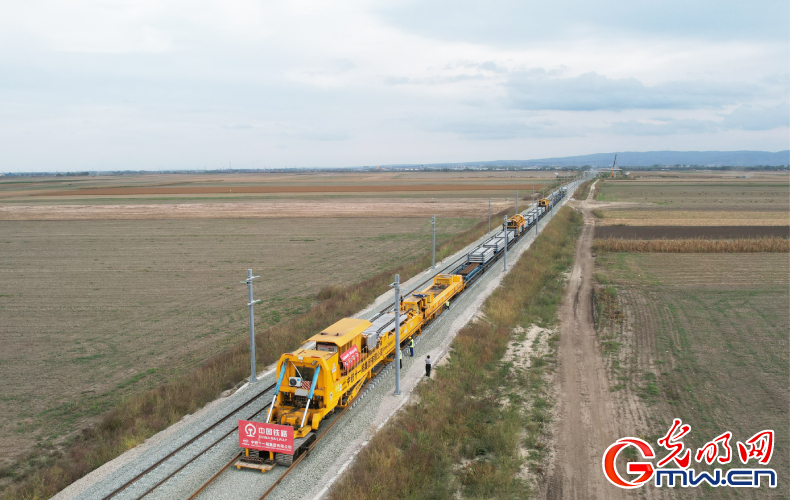 发送旅客超683万人次！匈塞铁路塞尔维亚境内贝诺段运营满两周年